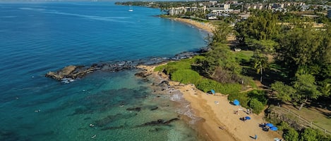 A coastal beach with clear waters, a sandy shore, and a backdrop of residential buildings.
