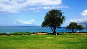 Un campo da golf con un albero imponente e vista sull'oceano.