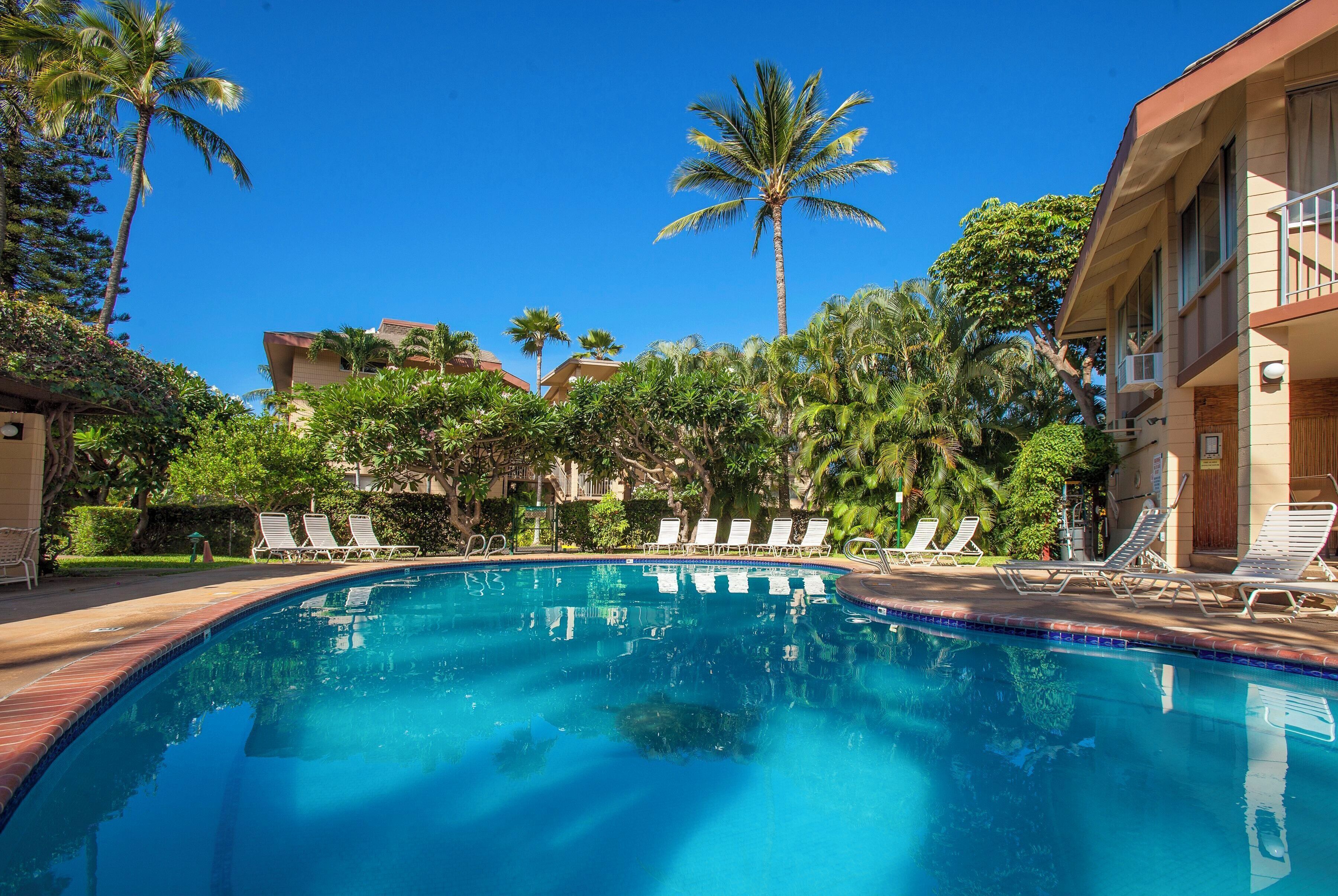 A clear blue pool surrounded by lounge chairs and palm trees, with buildings in the background.