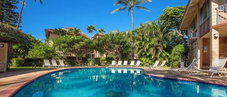 A clear blue pool surrounded by lounge chairs and palm trees, with buildings in the background.