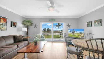 TV, DVD player, ping pong, books