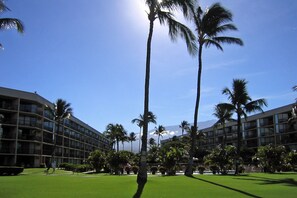 Property grounds - Maui Sunset Vacation Rentals A420 (Kihei)