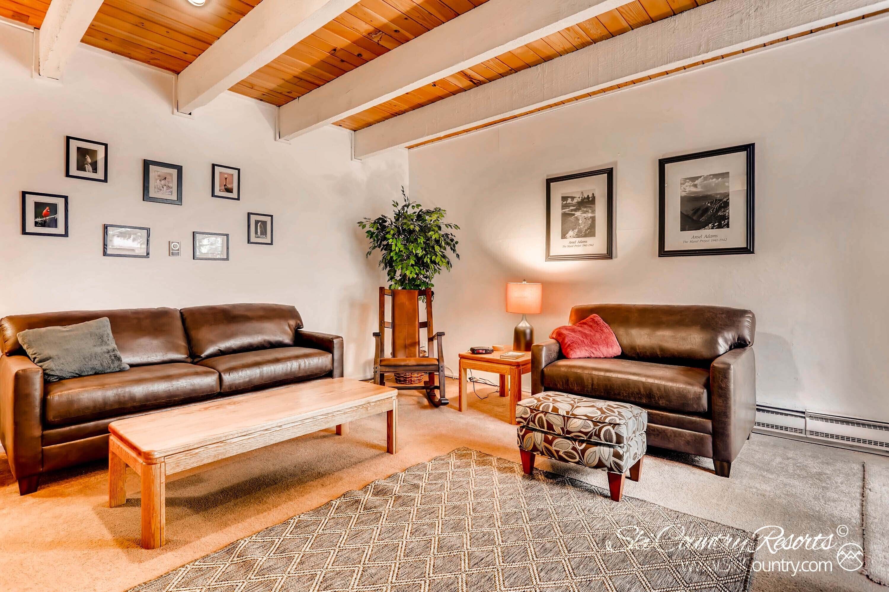 Televisión y chimenea 