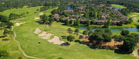 Aerial View of the Resort