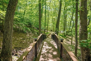 A wooden boardwalk through a forest with tall trees and a metal railing.