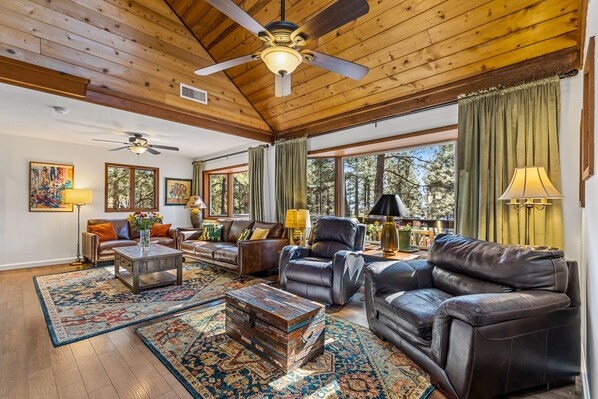 Smart TV, fireplace, DVD player, books