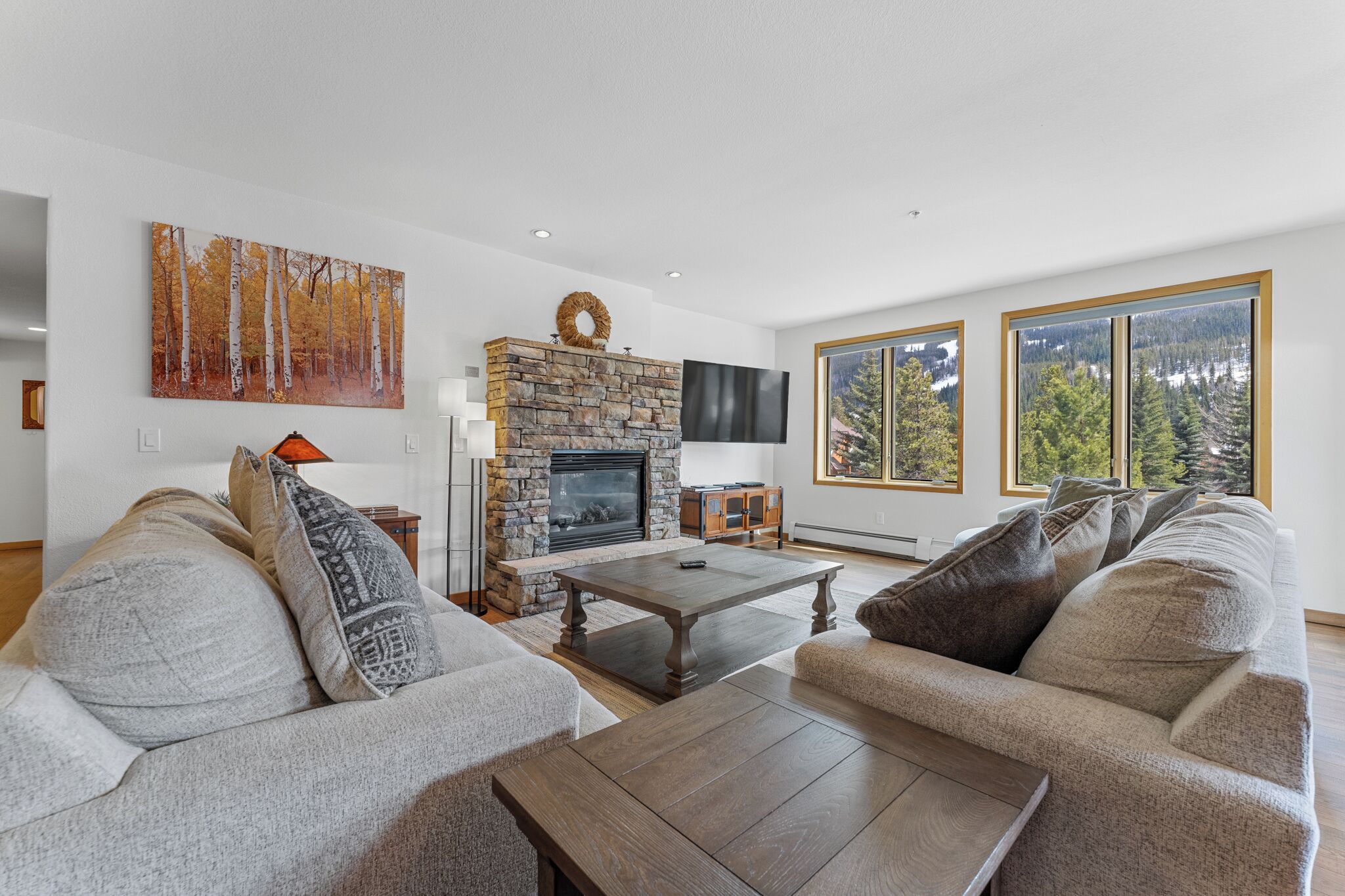 TV, fireplace, DVD player