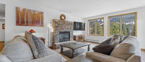 TV, fireplace, DVD player