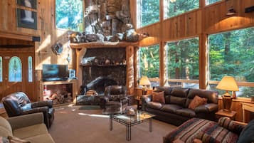 Télévision à écran plat, cheminée, lecteur de DVD, livres