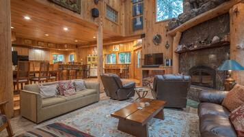 Télévision à écran plat, cheminée, lecteur de DVD, livres