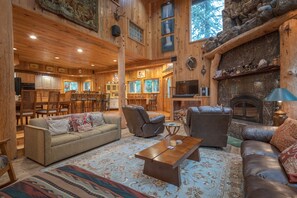 Télévision à écran plat, cheminée, lecteur de DVD, livres