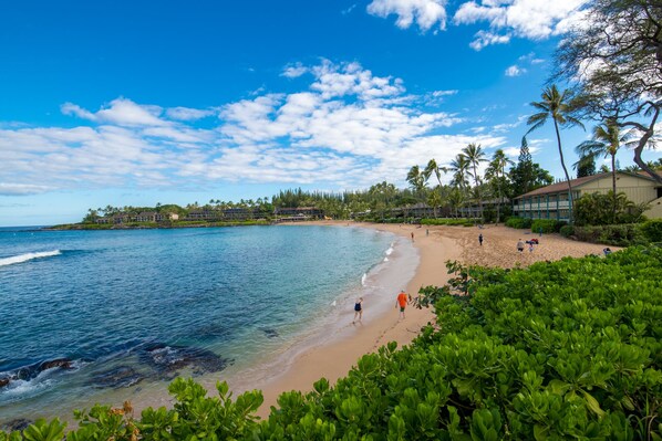 Beach nearby - Celebrated Villa, stylish and stunning golf views (Lahaina)