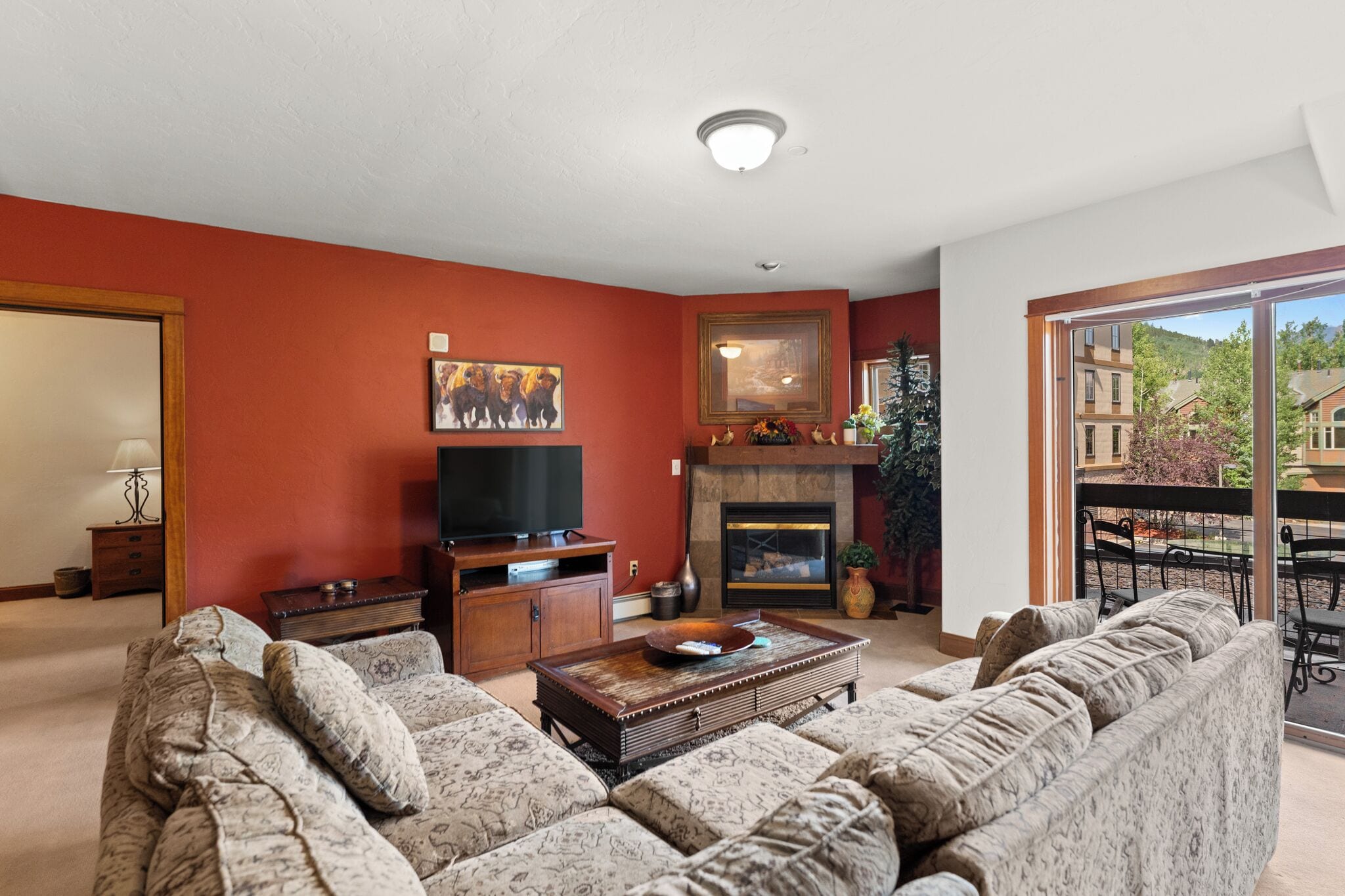 TV, fireplace, DVD player
