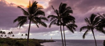 Beautifully decorated in Hawaiian style.