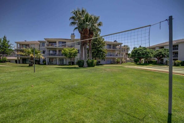 Zona residencial con cancha deportiva, una palmera y edificios de varios pisos.