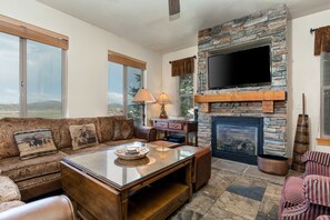 Televisio, takka, DVD-soitin, kirjoja