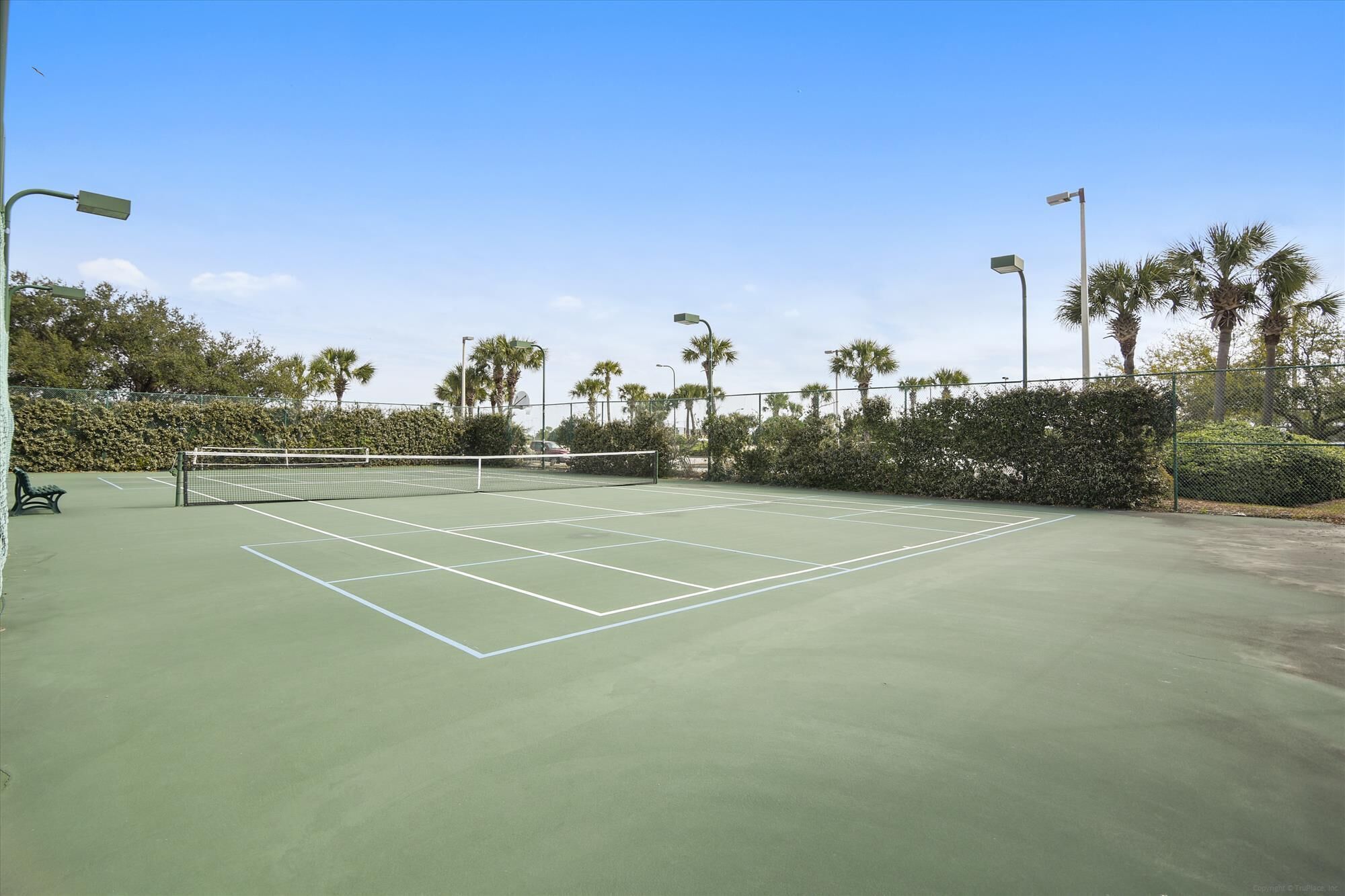 A tennis court with a net, surrounded by palm trees and a fence.