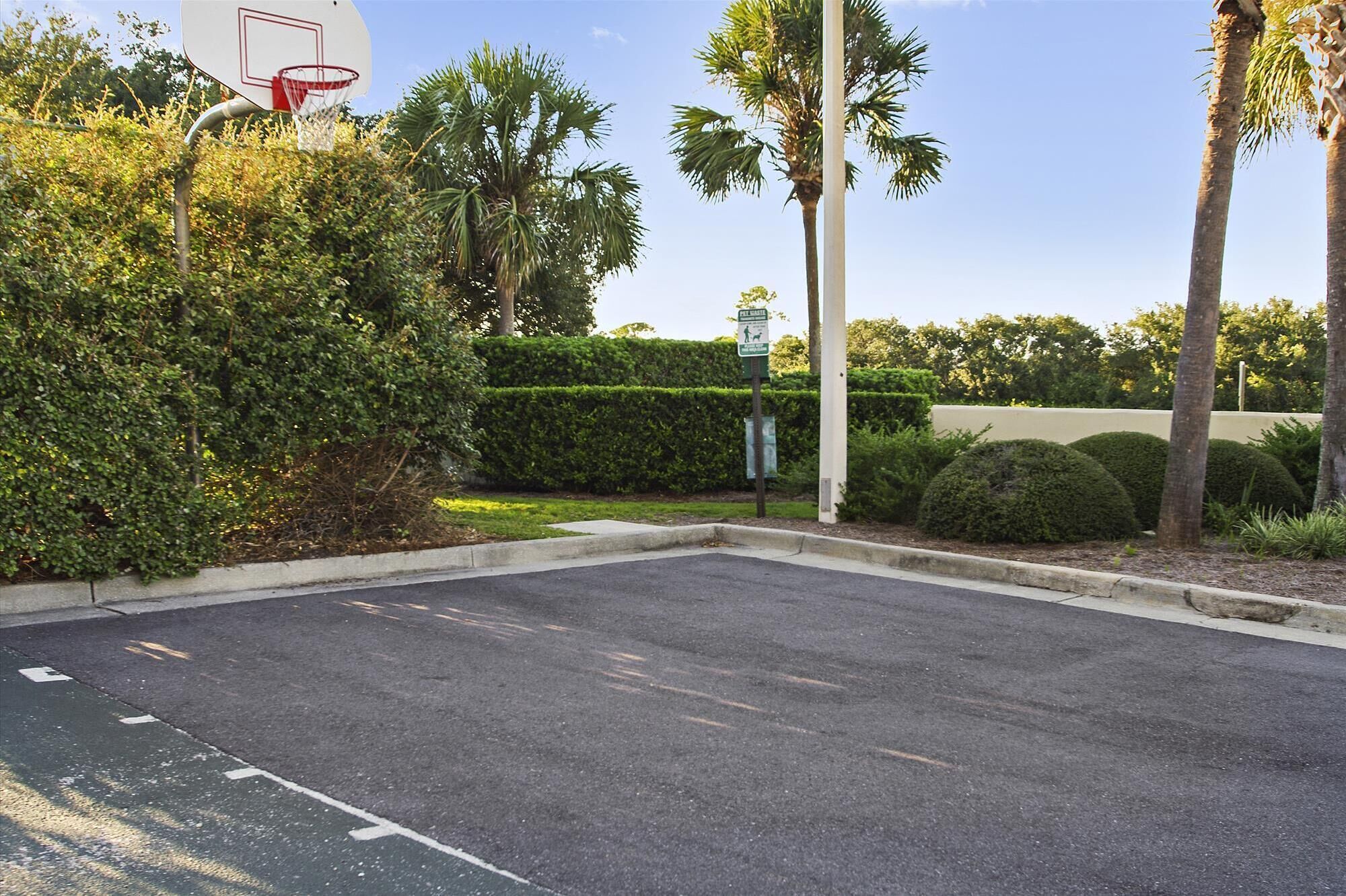A parking lot with a basketball hoop, palm trees, and a sign indicating a pet waste area.