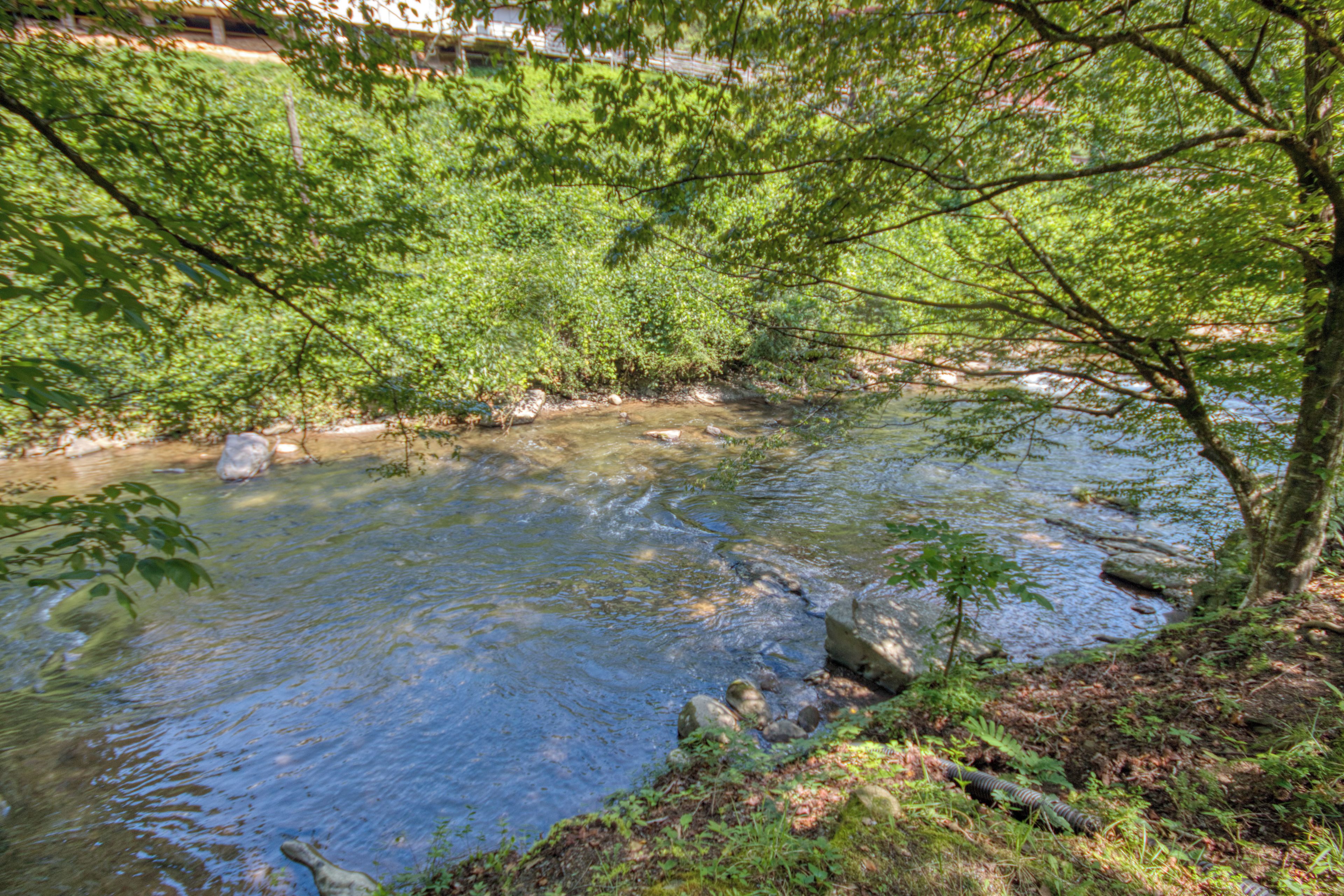 Ein Fluss fließt durch eine bewaldete Landschaft mit Felsen und Bäumen.