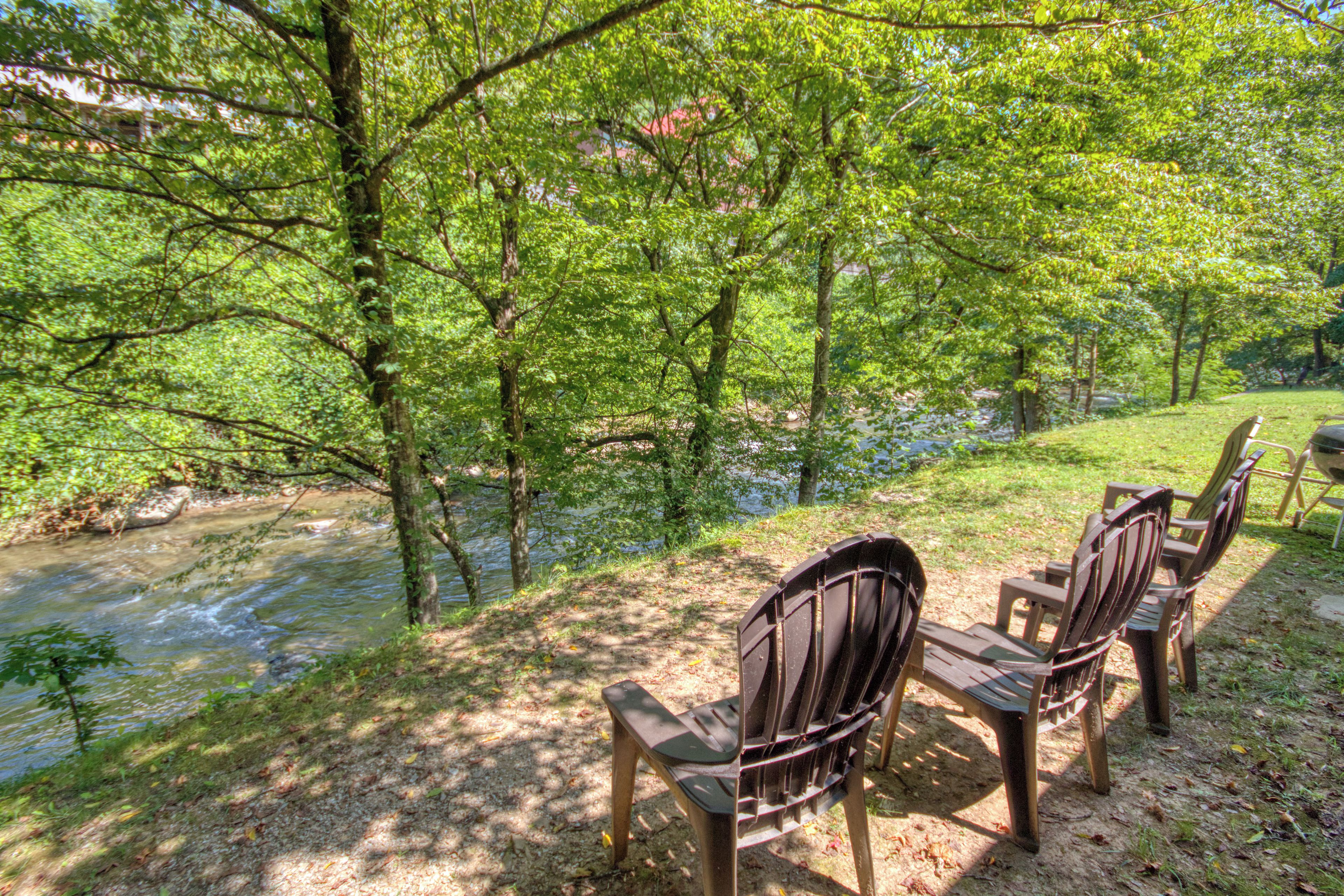 A row of wooden chairs facing a river, surrounded by trees.