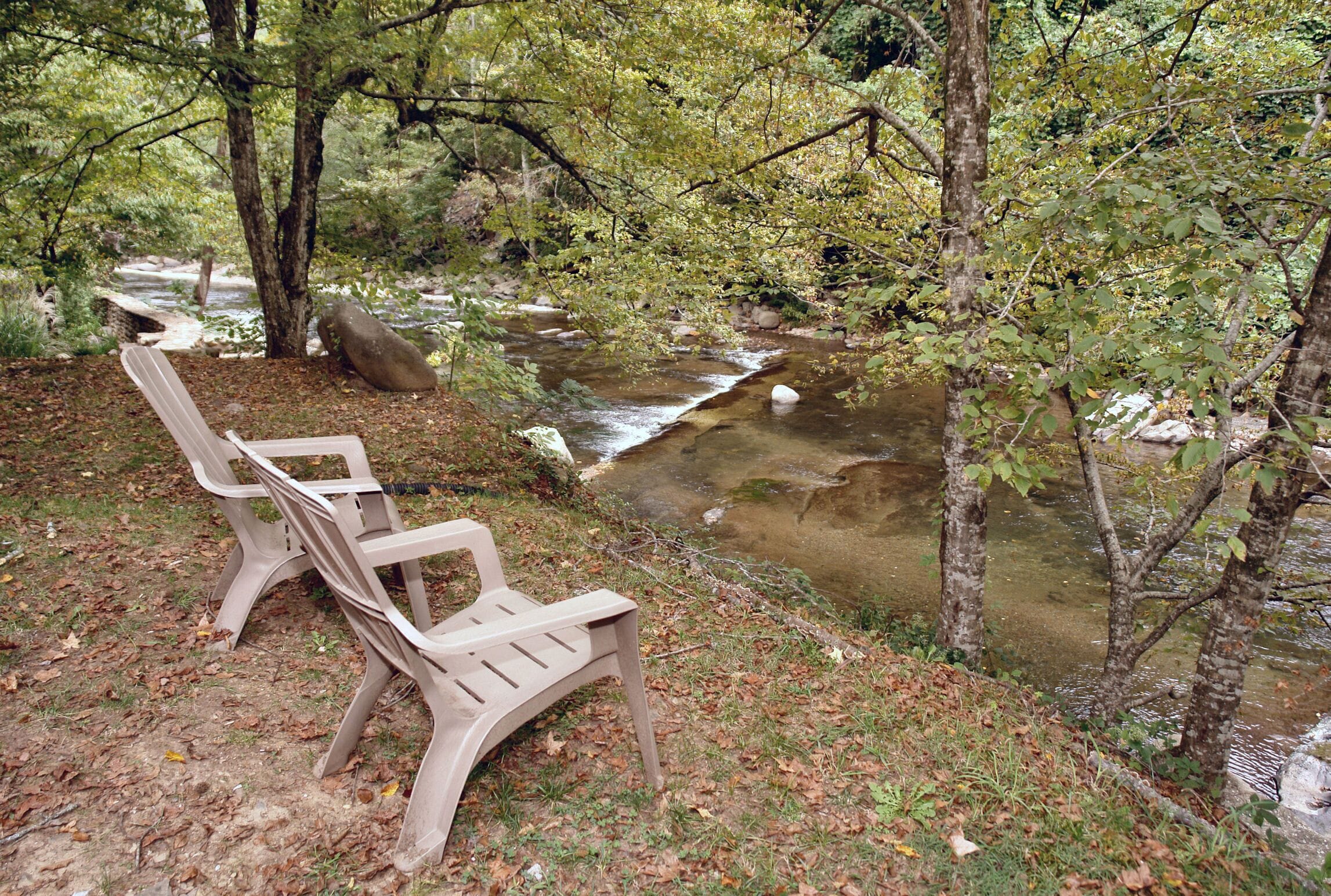A bench by a stream in a wooded area.