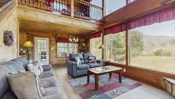 TV, fireplace, DVD player, books