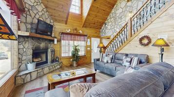 Télévision, cheminée, lecteur de DVD, livres