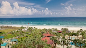 A beach resort with a pool area, palm trees, and a view of the ocean.