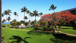 Unclassified image, 2 of 48, button - Maui Sunset Vacation Rentals B514 (Kihei)