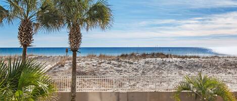 A beach with palm trees and a fence in the foreground, leading to a sandy beach area.