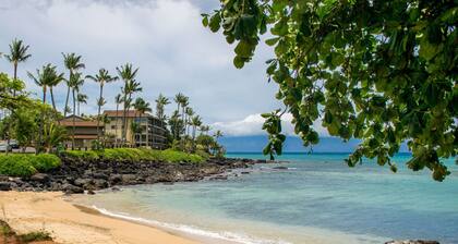 Loft living in a Spacious, remodeled 2bd Condo