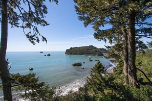 A coastal landscape with a beach, rocky outcrops, and dense greenery. - Sea Cliff - Perched above Sea, Romantic & Private! (Trinidad)