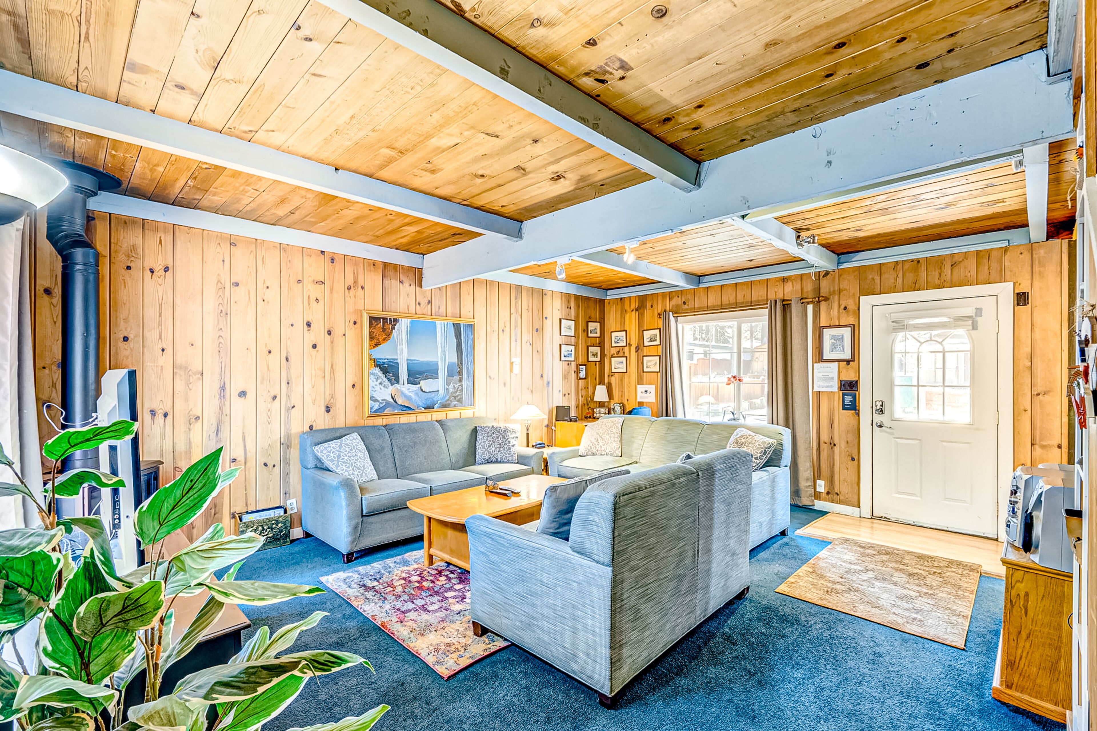 Télévision, cheminée, livres, vidéothèque