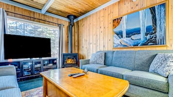 TV, fireplace, books, video library