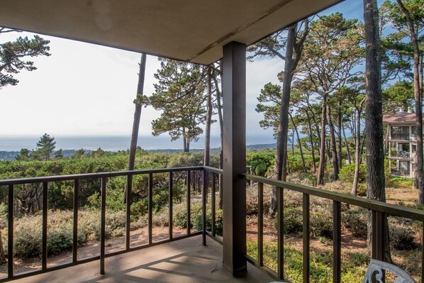 A balcony with a view of a forest and a distant body of water.