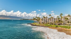 A beachfront hotel with multiple floors, palm trees, and a view of the ocean.