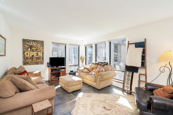 Téléviseur connecté, foyer, lecteur de DVD, chaîne audio