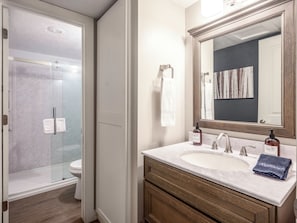 Combined shower/tub, hair dryer, towels