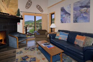 TV, fireplace, offices