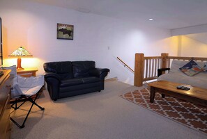 TV, fireplace, offices
