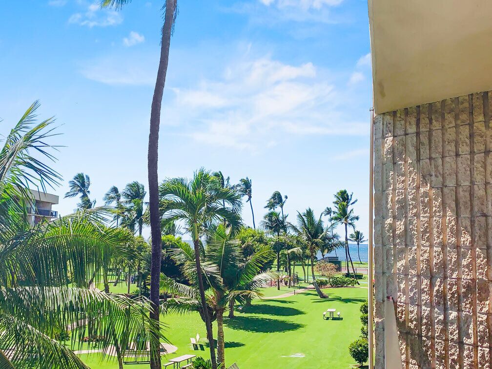 A view of a golf course with palm trees, a clear sky, and a building with a patterned facade.