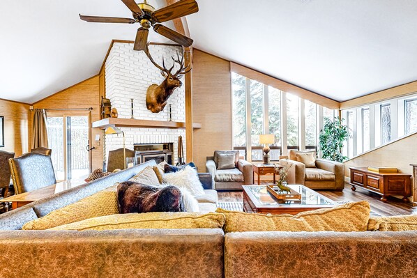 TV, fireplace, DVD player, books