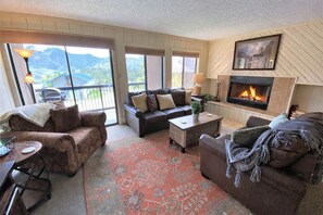 TV, fireplace, DVD player, books