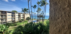A hotel with multiple floors, outdoor swimming pool, and palm trees.