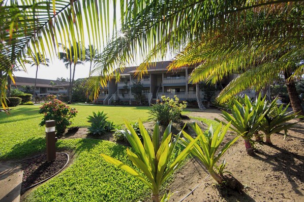 A courtyard with a building in the background, surrounded by various plants and a well-maintained lawn.