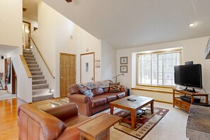 TV, fireplace, DVD player, books