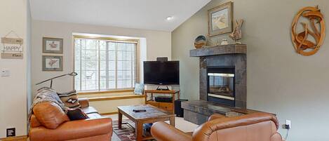 TV, fireplace, books