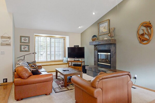 TV, fireplace, DVD player, books