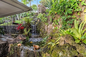 Un jardín natural con una pequeña cascada, rocas y diversas plantas tropicales.