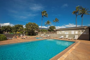 A swimming pool with lounge chairs and palm trees in the background.